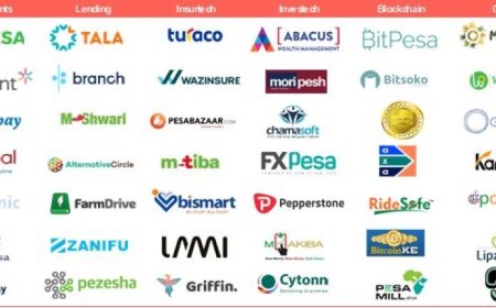 EP2: Does Kenya need to be much tougher on Fintechs?