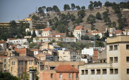 EP7: In Oil-rich Algeria, Can Authorities Keep the Focus on Renewables?