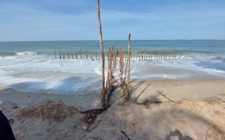 Climate Adaptation in West Africa: Strategies, Practices, and Initiatives: Factsheets