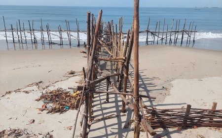 Unlocking Adaptation Potential: Insights into Senegal’s climate change policies, initiatives and local actions