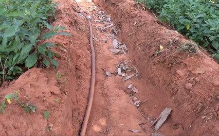 Community Resilience: Integrating Local Approaches into Nigeria's Climate Change Adaptation Agenda