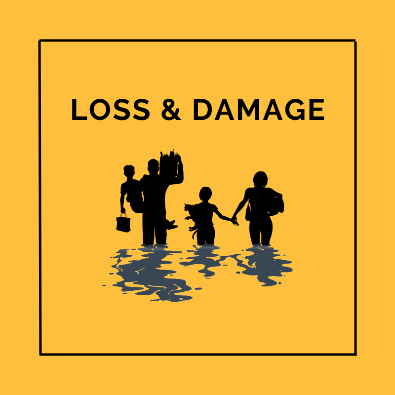 Loss and Damage Slide