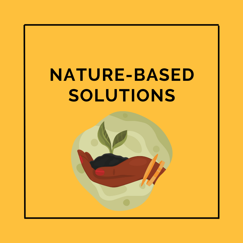 Nature-based Solutions Slide