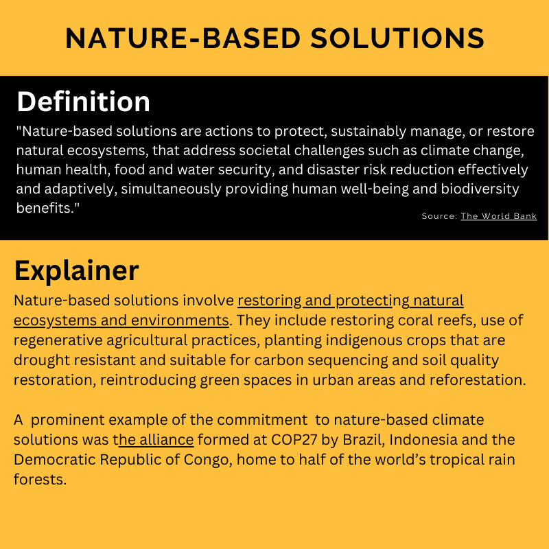 Nature-based Solutions Slide