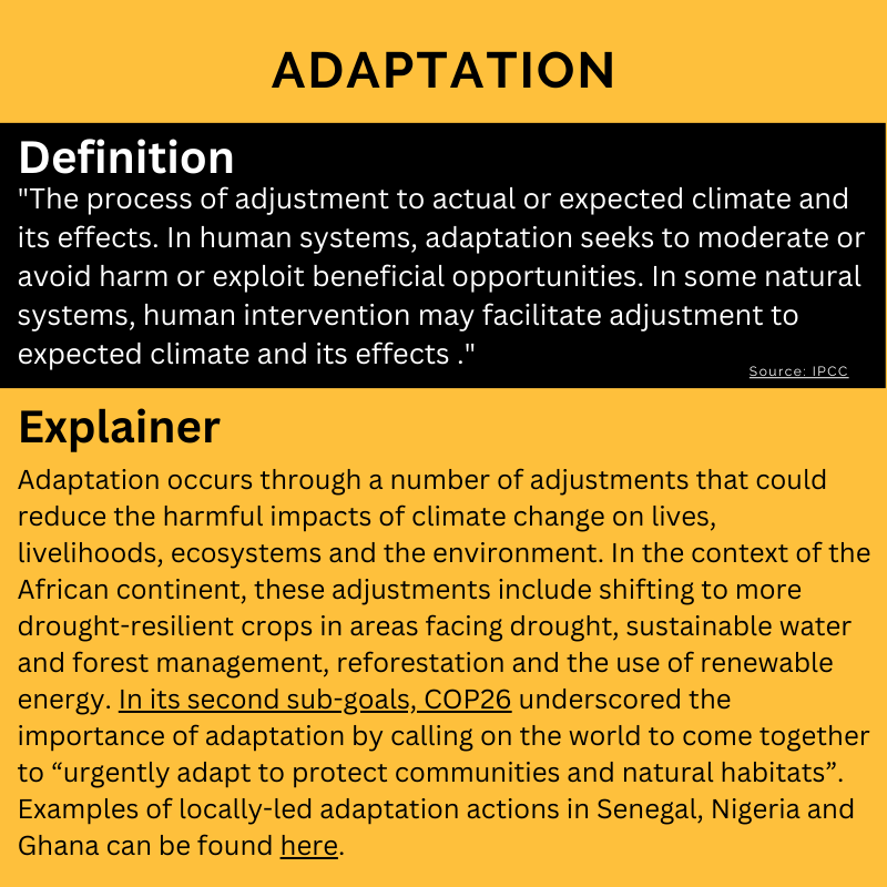 Adaptation  Slide