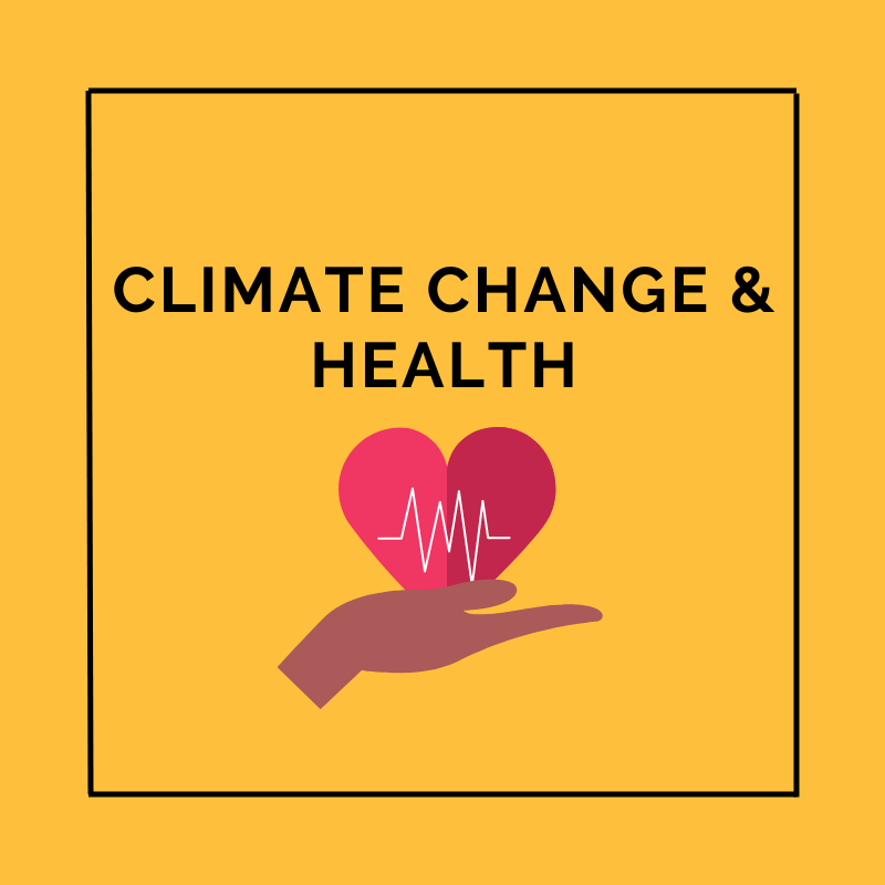 Climate Change and Health Slide