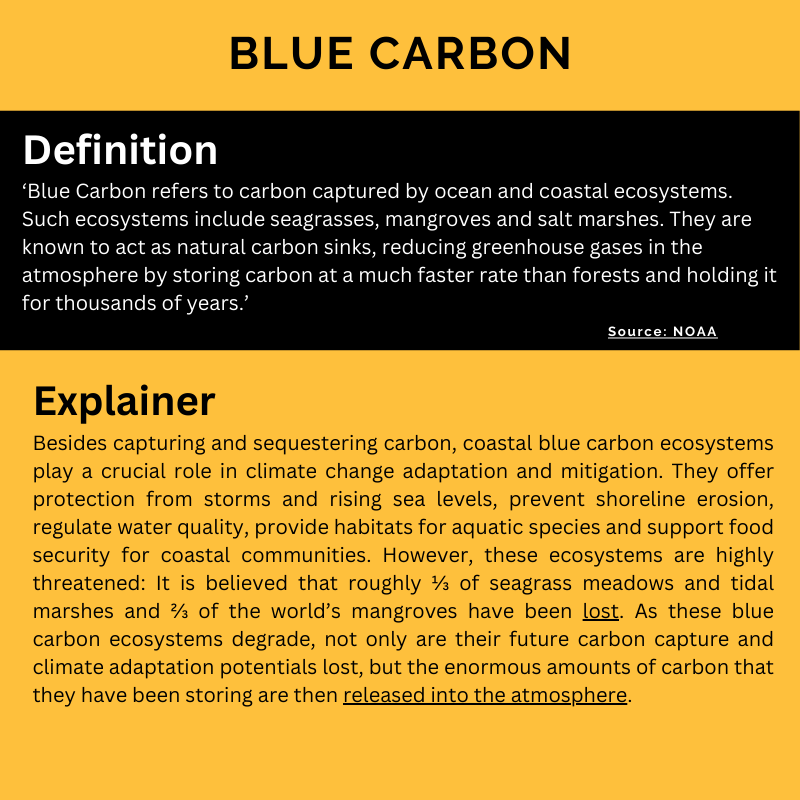 Blue Carbon
