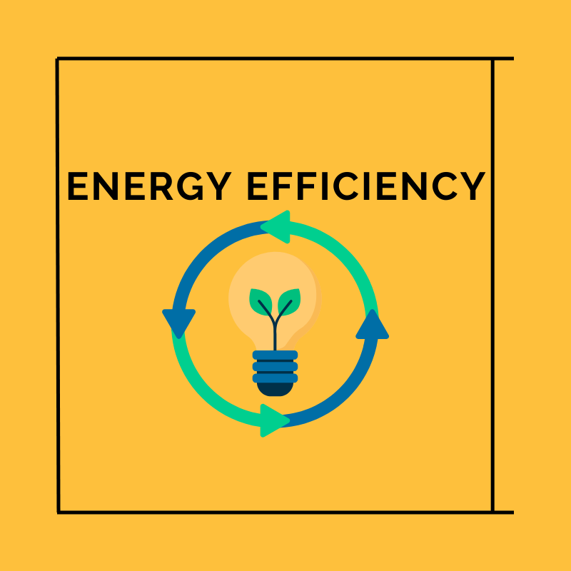 Energy Efficiency