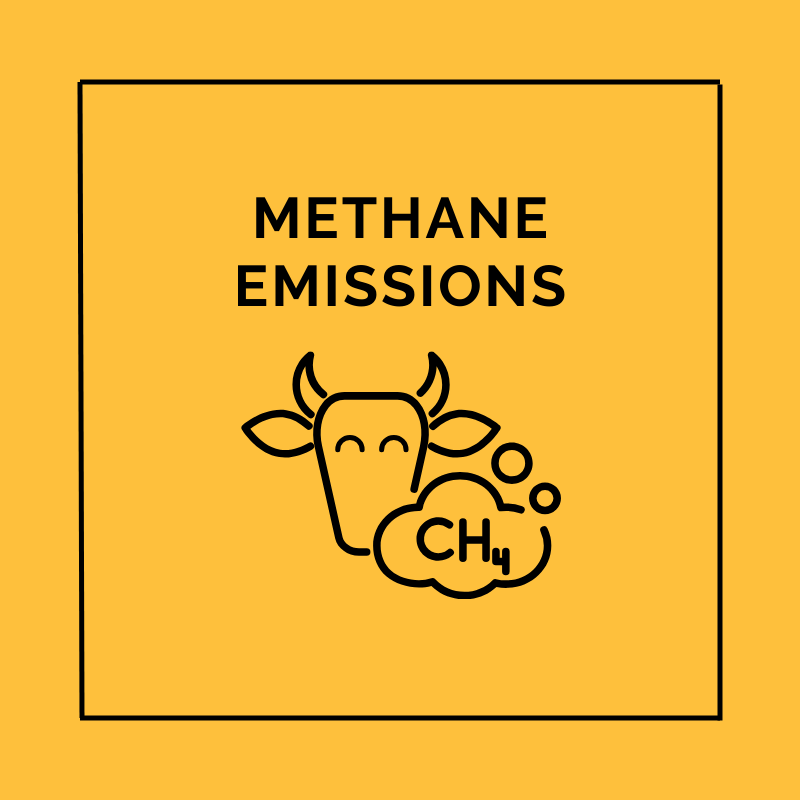 Methane Emissions