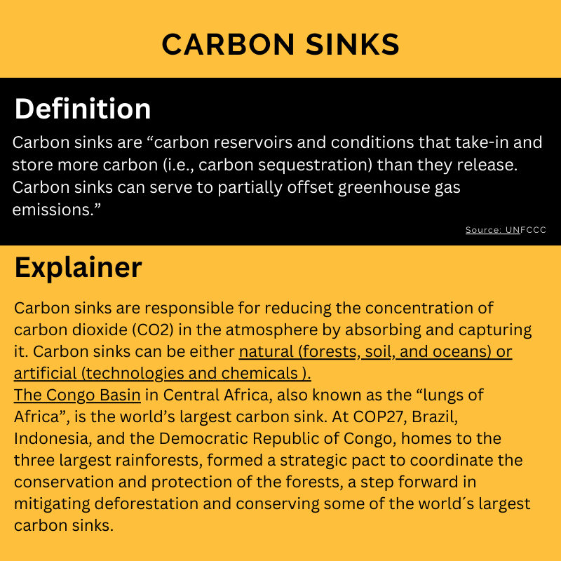 Carbon Sinks