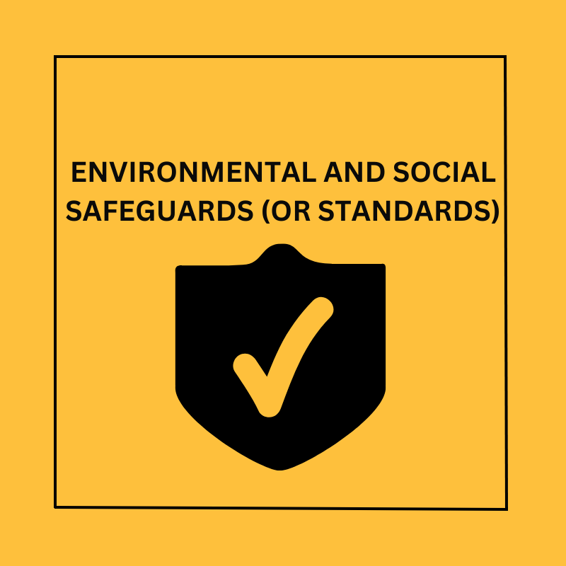 Environmental and Social Safeguards and Standards