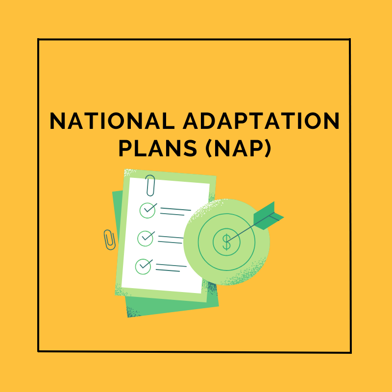 National Adaptation Plan