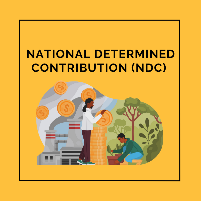 National Determined Contribution