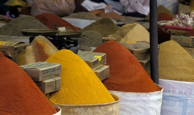 Industrial and Trade Policy Questions Confronting Africa in a Just Transition to a Lower Carbon Economy