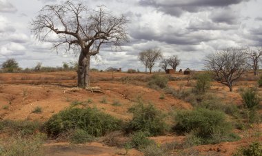 Harnessing Local Knowledge through Community-Based Interventions