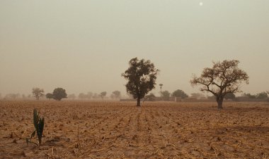 Die Rolle von Private Equity in der afrikanischen Infrastruktur (EN)