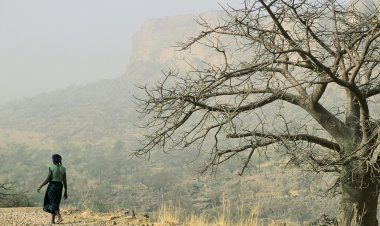 The new German government must walk its talk on climate diplomacy in its Africa policy