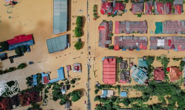 The Global Shield: Lights and Shadows of Insurance Schemes in the Fight Against Climate Change