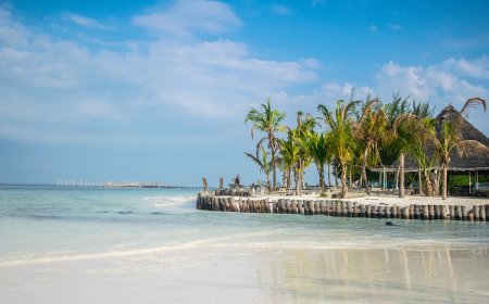 Consuming Africa: The Impact of Tourism on Local African Economies