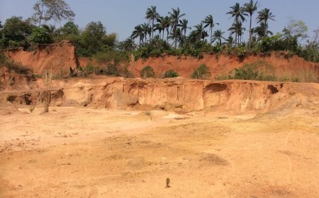 Unlocking Adaptation Potential: Insights into Nigeria’s climate change policies, initiatives and local actions