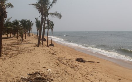 Unlocking Adaptation Potential: Insights into Ghana’s climate change policies, initiatives and local actions