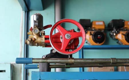 The Impact of Fertilizer Prices on Africa