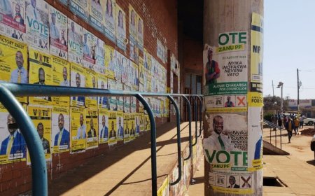 Zimbabwe's 2023 Election: Dynamics, Candidates, and Implications for Democracy, the Economy, and International Relations