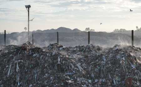 Auswirkungen des Klimawandels auf Gesundheit und Wohlbefinden: Der Fall Senegal (EN)