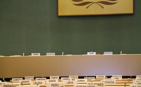 Wahlen in Kenia: Analyse und Auswirkungen (EN)