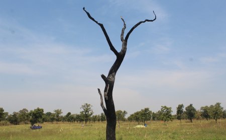 Community Resilience: Integrating Local Approaches into Ghana's Climate Change Adaptation Agenda