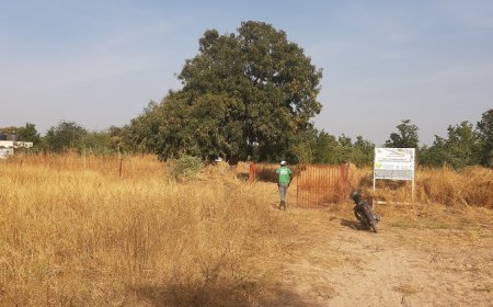 Digitale Konnektivität im ländlichen Afrika: Überwindung der Kluft (EN)