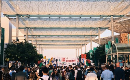 Finanzierung des grünen Übergangs: Mobilisierung von Klimafinanzierung (EN)