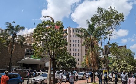 Expert Interview with Axel Berger on Synergising Investment Facilitation Agendas in Africa