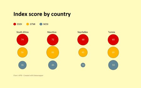 Stufen des E-Government-Index (EN)