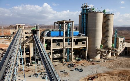 Strategic industrial policy for sustainable development in Africa: the case of cement manufacturing