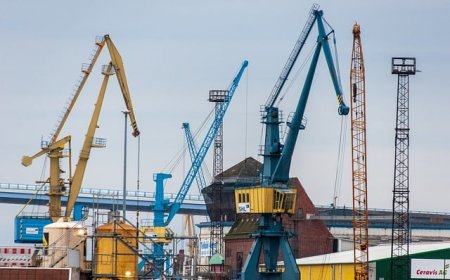 Industrialisation in Africa: Leading countries and reasons for their success