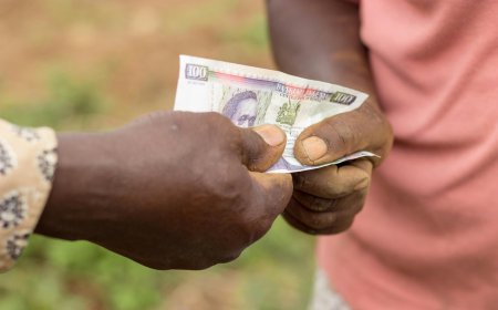 Easing Africa's climate crisis: Can green bonds help close the climate finance gap?