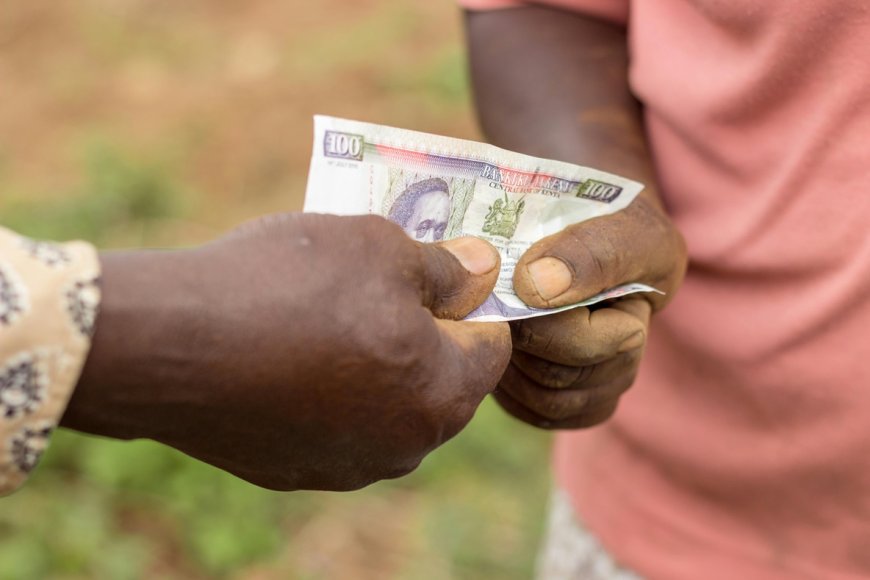 Easing Africa's climate crisis: Can green bonds help close the climate finance gap?