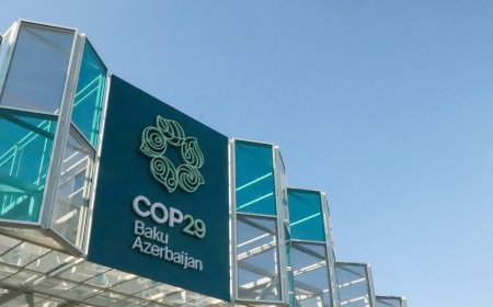 A continent in focus: COP29 outcomes and implications for Africa