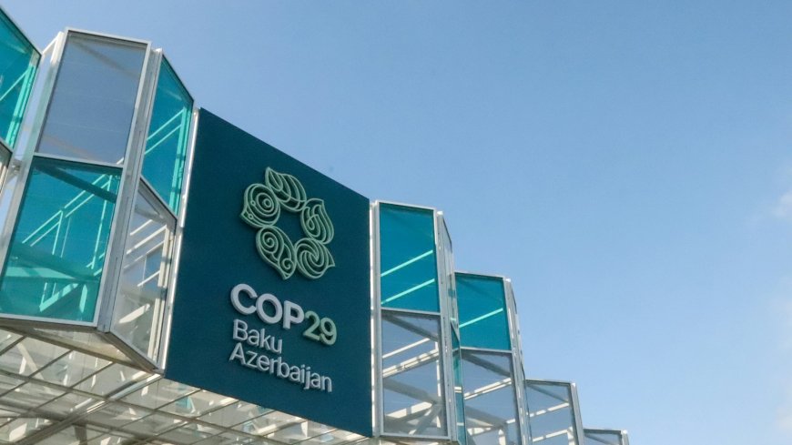 A continent in focus: COP29 outcomes and implications for Africa