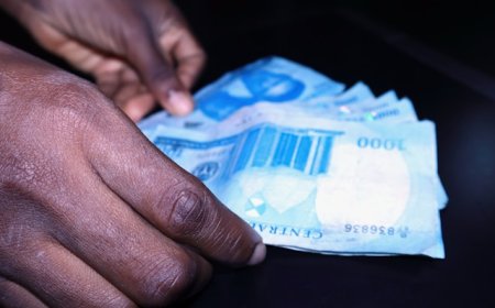 Moving from plans to action: Mainstreaming climate action into Nigeria’s budget and economic planning