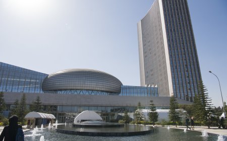 How Bureaucracies Work: AUDA-NEPAD’s Approach to Trade and Industrialisation