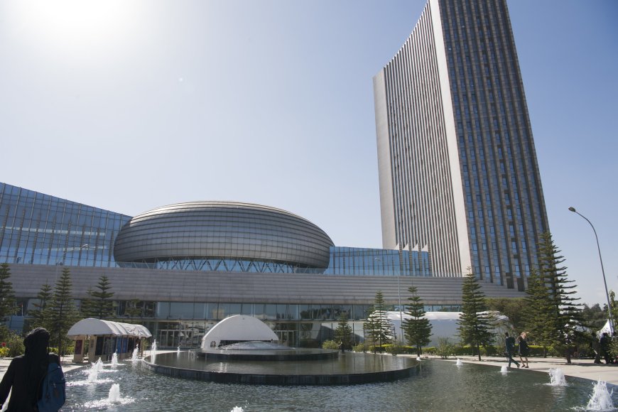 How Bureaucracies Work: AUDA-NEPAD’s Approach to Trade and Industrialisation