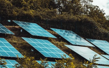 Sustainable Progress: The AfCFTA and Green Job Opportunities in Africa