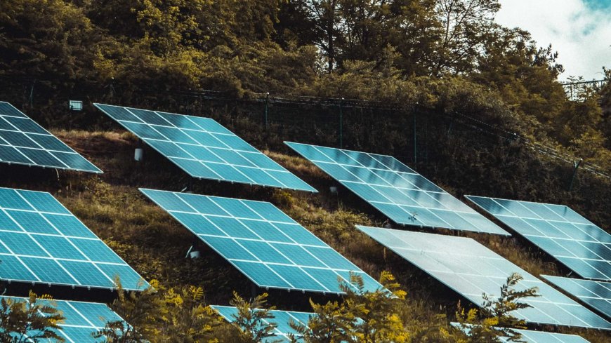 Sustainable Progress: The AfCFTA and Green Job Opportunities in Africa