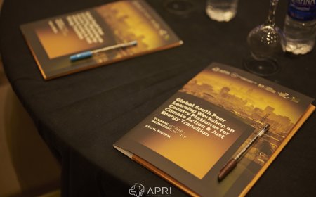 Insight Brief: Global South Peer Learning Workshop on Country Platform and Just Energy Transition