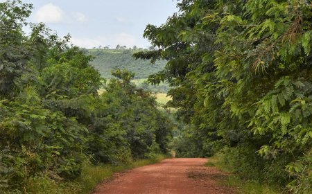 Youth inclusion in green technology in Africa: A policy landscape analysis of Nigeria, Kenya and Ghana