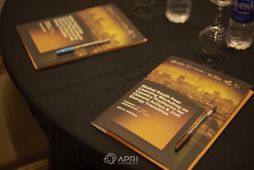 Insight Brief: Global South Peer Learning Workshop on Country Platform and Just Energy Transition