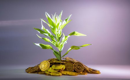 The Foreign Exchange Constraint at the Heart of Development Finance