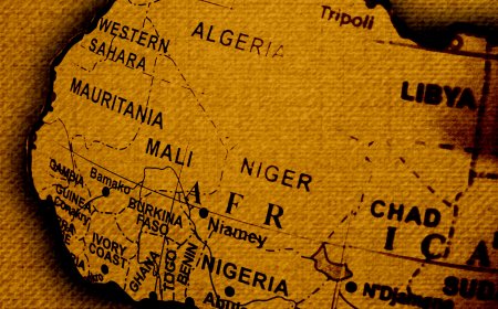 ECOWAS Policy Analysis Series (EPAS)